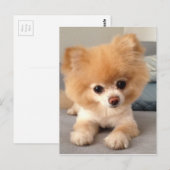 Winnie with a Fresh Cut Briefkaart (Voorkant / Achterkant)