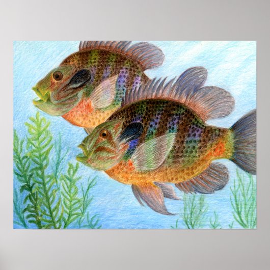 Winning art by E. Jiang - Grade 6 Poster (Voorkant)