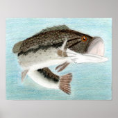 Winning art door D. Gillett - graad 9 Poster (Voorkant)