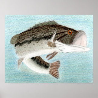 Winning art door D. Gillett - graad 9 Poster