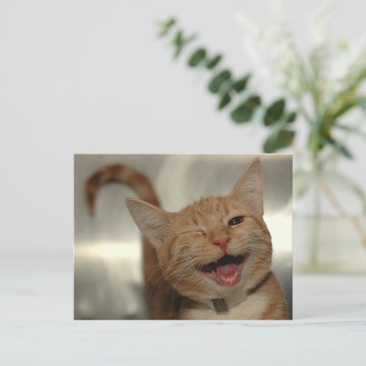 Winning Happy Ginger Cat Briefkaart (Staand voorkant)