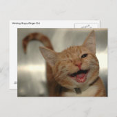 Winning Happy Ginger Cat Briefkaart (Voorkant / Achterkant)