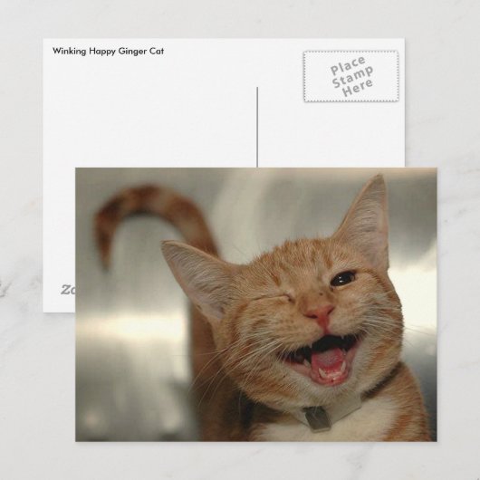 Winning Happy Ginger Cat Briefkaart (Voorkant / Achterkant)