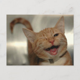 Winning Happy Ginger Cat Briefkaart
