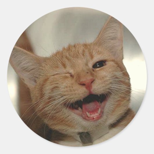 Winning Happy Ginger Cat Ronde Sticker (Voorkant)