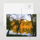 Winnipeg herfst briefkaart (Voorkant / Achterkant)