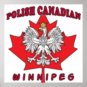 Winnipeg Pools Canadees Leaf Poster