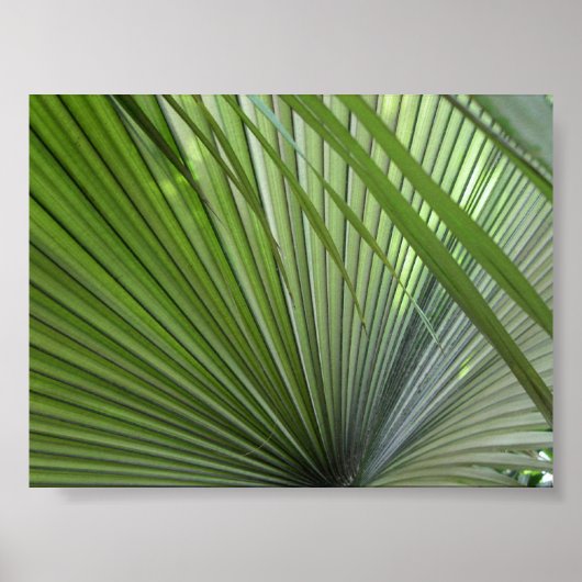 "Winnow" Poster (Voorkant)