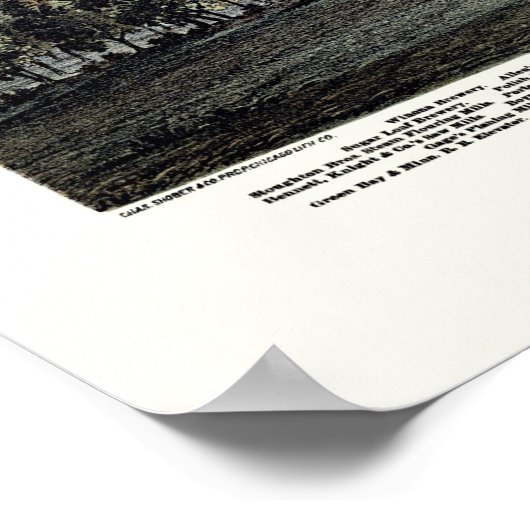 Winona, MN Panorama Map - 1874 Poster (Hoek)