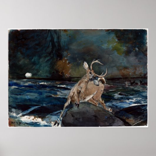 Winslow Homer A Good Shot, Adirondacks Poster (Voorkant)