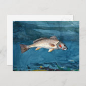 Winslow Homer Channel Bass Briefkaart (Voorkant / Achterkant)