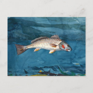 Winslow Homer Channel Bass Briefkaart