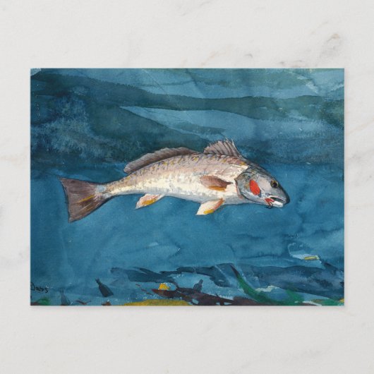 Winslow Homer Channel Bass Briefkaart (Voorkant)