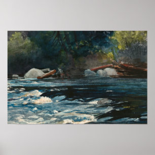 Winslow Homer - De Rapids, de Hudson rivier Poster