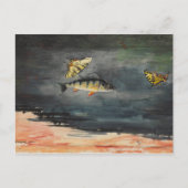  Winslow Homer Fish en Butterflies Briefkaart (Voorkant)