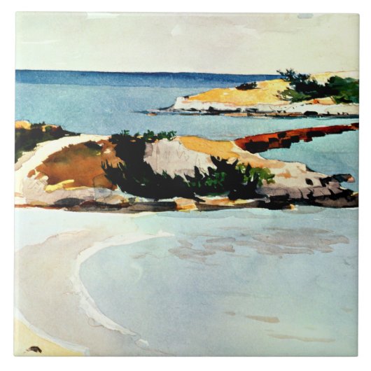 Winslow Homer - Gallows Island Tegeltje (Voorkant)