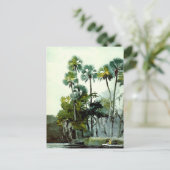 Winslow Homer - Homosassa Briefkaart (Staand voorkant)