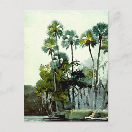 Winslow Homer - Homosassa Briefkaart (Voorkant)