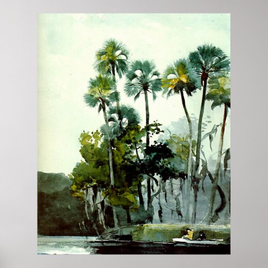 Winslow Homer - Homosassa-rivier Poster (Voorkant)