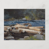  Winslow Homer Hudson Briefkaart (Voorkant)