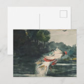  Winslow Homer Life Size Black Bass Briefkaart (Voorkant / Achterkant)