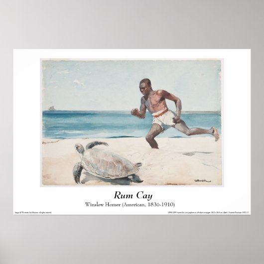 Winslow Homer - Poster "Rum Cay" (Voorkant)