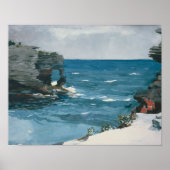 Winslow Homer - Rocky Shore, Bermuda Poster (Voorkant)