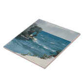 Winslow Homer - Rocky Shore, Bermuda Tegeltje (Zijkant)