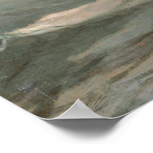  winslow Homer the Life Line Poster (Hoek)