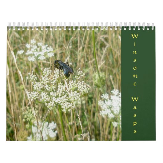 Winsome Wasps Calendar Kalender (Hoes)