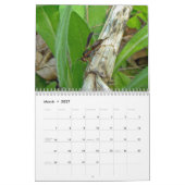 Winsome Wasps Calendar Kalender (Mar 2027)