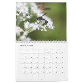 Winsome Wasps Calendar Kalender (Jan 2026)