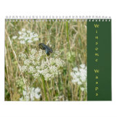 Winsome Wasps Calendar Kalender (Hoes)