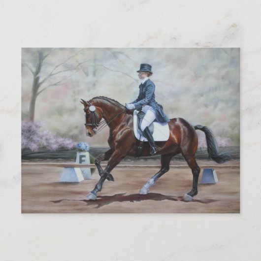 Winsor in Dressage Briefkaart (Voorkant)