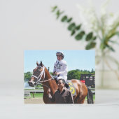 Winstar Boerderij King Cyrus Briefkaart (Staand voorkant)