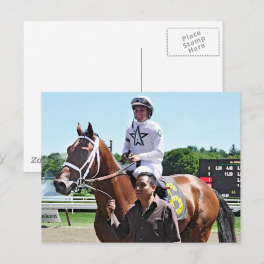 Winstar Boerderij King Cyrus Briefkaart (Voorkant / Achterkant)