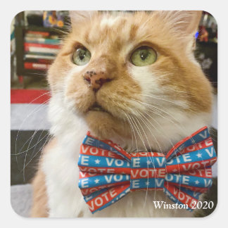 Winston 2020 vierkante sticker