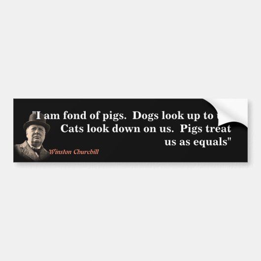Winston Churchill citaat over varkens Bumpersticker (Voorkant)