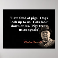 Winston Churchill citaat over varkens