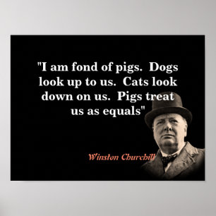 Winston Churchill citaat over varkens Poster
