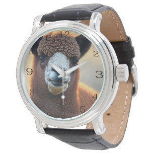 Winston de Wolly Brown Alpaca, Horloge