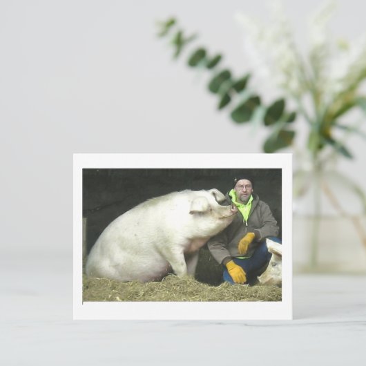 Winston het varken briefkaart (Staand voorkant)