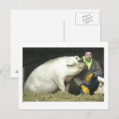 Winston het varken briefkaart (Voorkant / Achterkant)