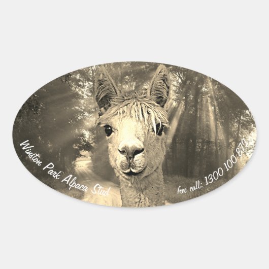 Winston Park Alpaca Stud Ovale Sticker (Voorkant)