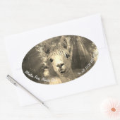 Winston Park Alpaca Stud Ovale Sticker (Envelop)