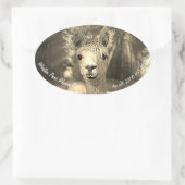Winston Park Alpaca Stud Ovale Sticker (Tas)