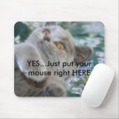Winston the Cat Mousepad Muismat (Met muis)