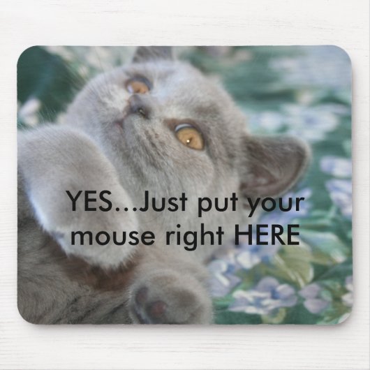 Winston the Cat Mousepad Muismat (Voorkant)