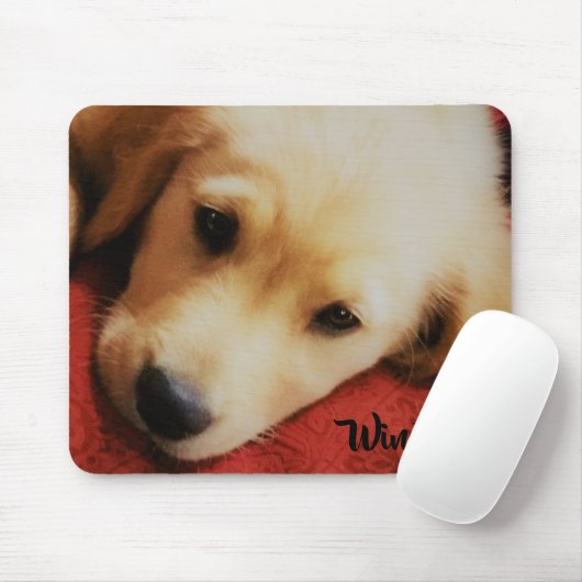 Winston the Golden Retriever Puppy, Mousepad Muismat (Met muis)