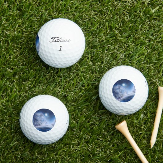 Winter 2019-03 golfballen (Insitu Gras)